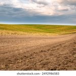 990990开奖结果最新公布,今晚大奖花落谁家 jh258nro