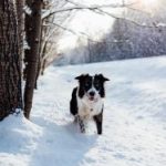 992开奖前后关联全解析:结果与规律深度探讨 la4t3z